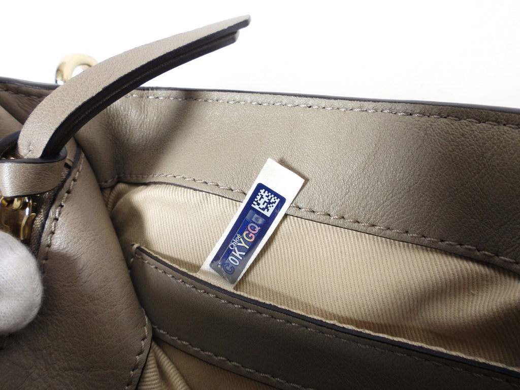 Chloe Faye Double Carry Bag in Smooth Calfskin