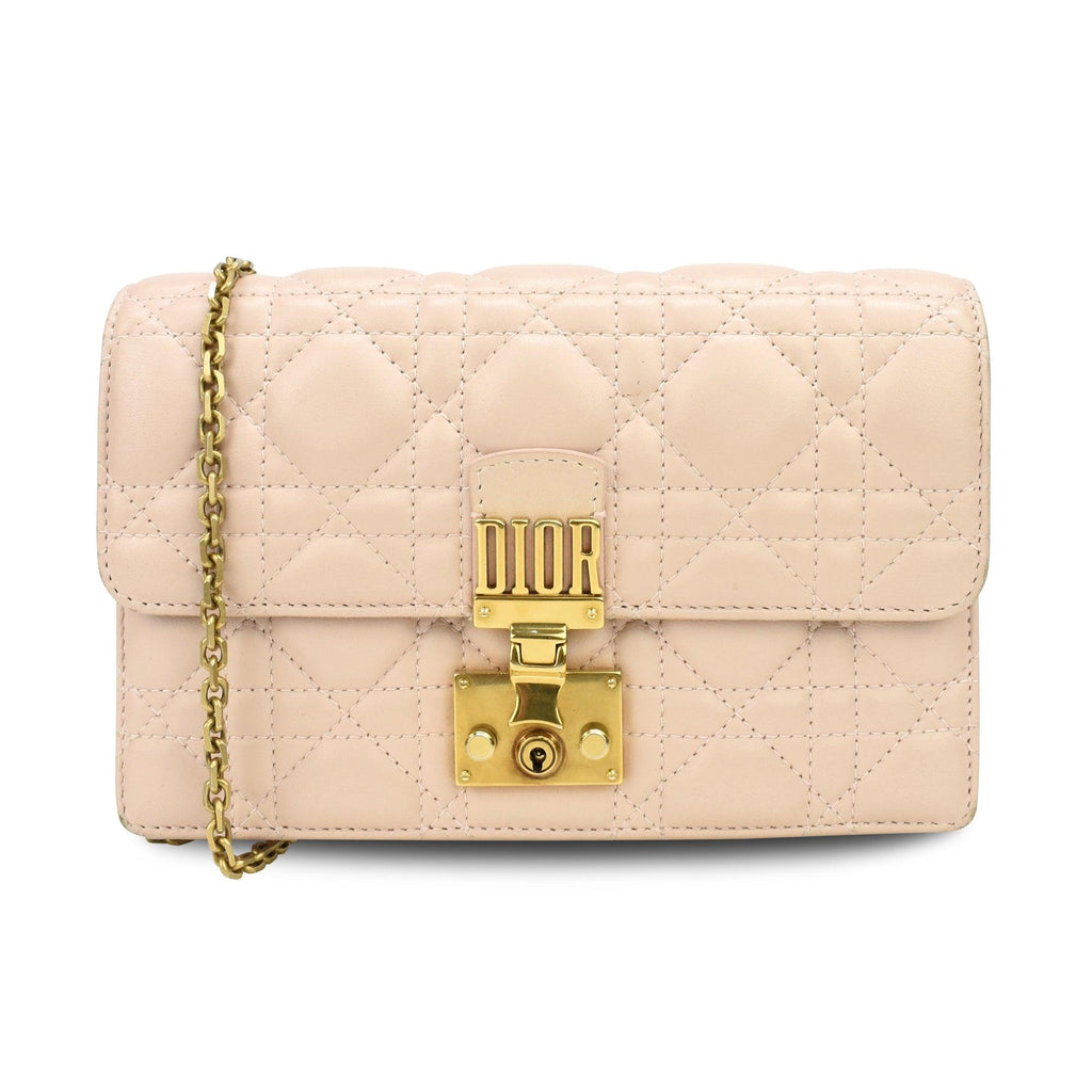 Christian Dior Wallet on Chain