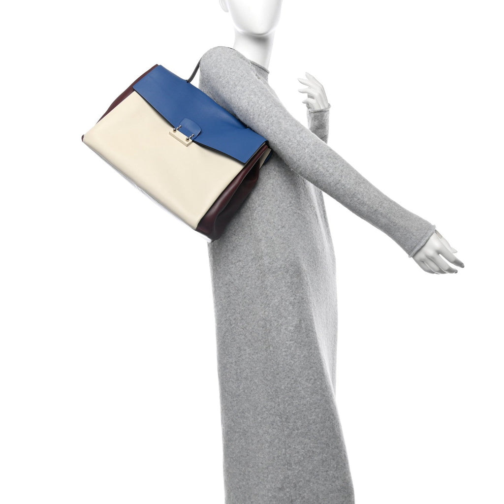 Calfskin Colorblock Mime Single Handle Bag Ruby Marine