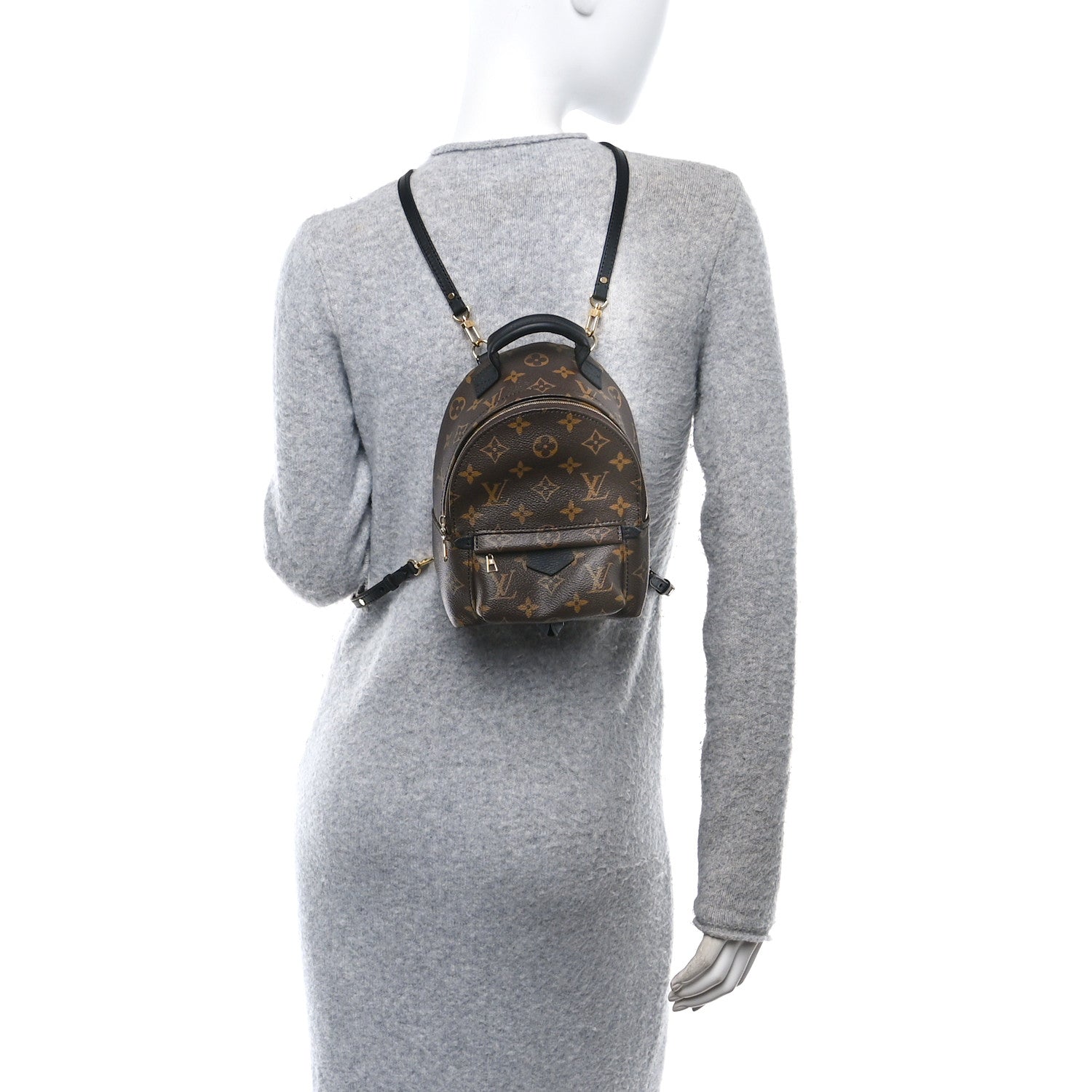 Monogram Palm Springs Backpack Mini