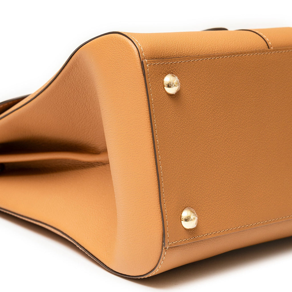Delvaux Brillant MM S Rodeo Calf Vegetal Gold Hardware