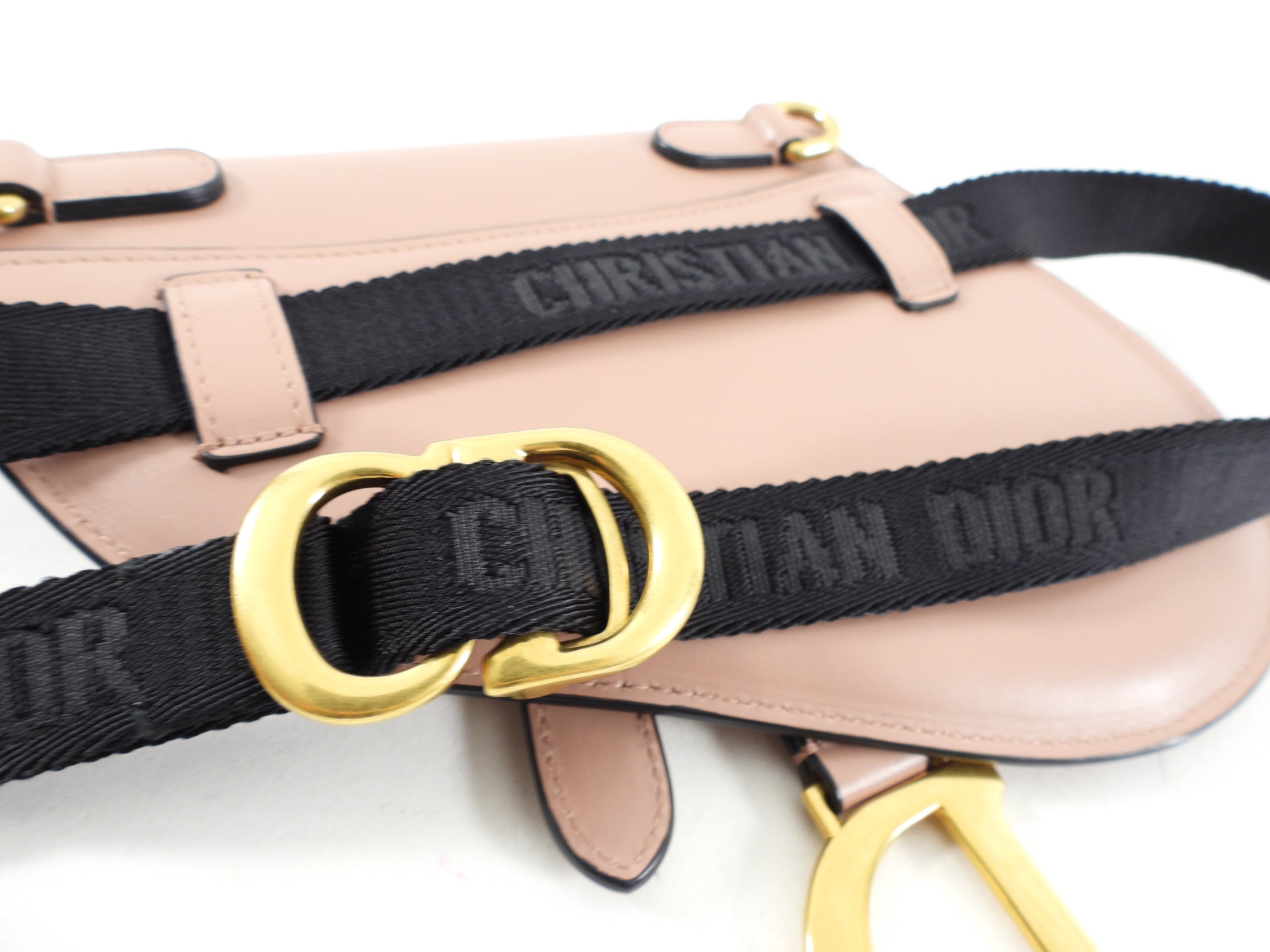 Dior Nude Leather Saddle Belt Bag
