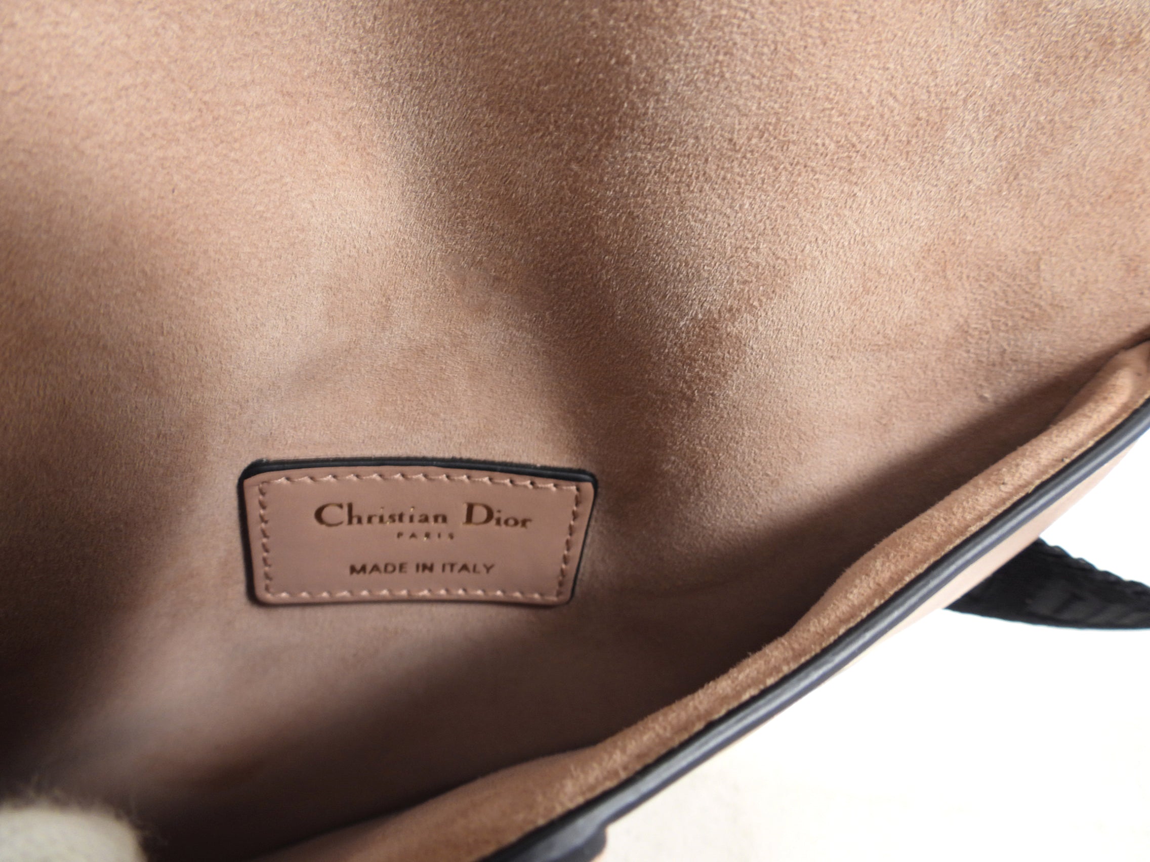 Dior Nude Leather Saddle Belt Bag
