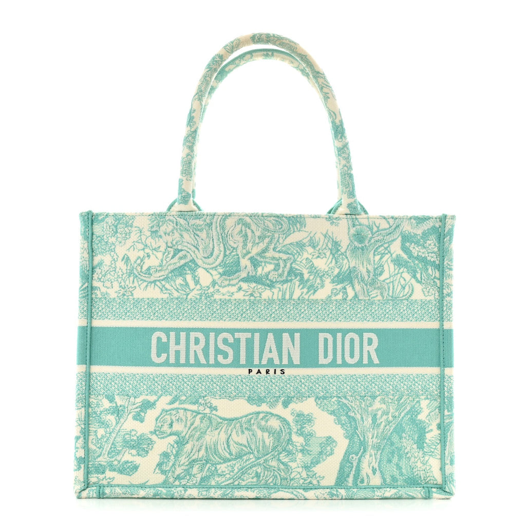 Canvas Embroidered Medium Dioriviera Toile De Jouy Book Tote Aquamarina