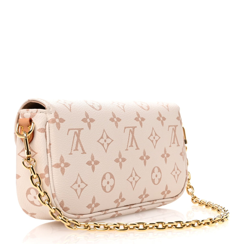 Monogram Dune Ivy Wallet On Chain