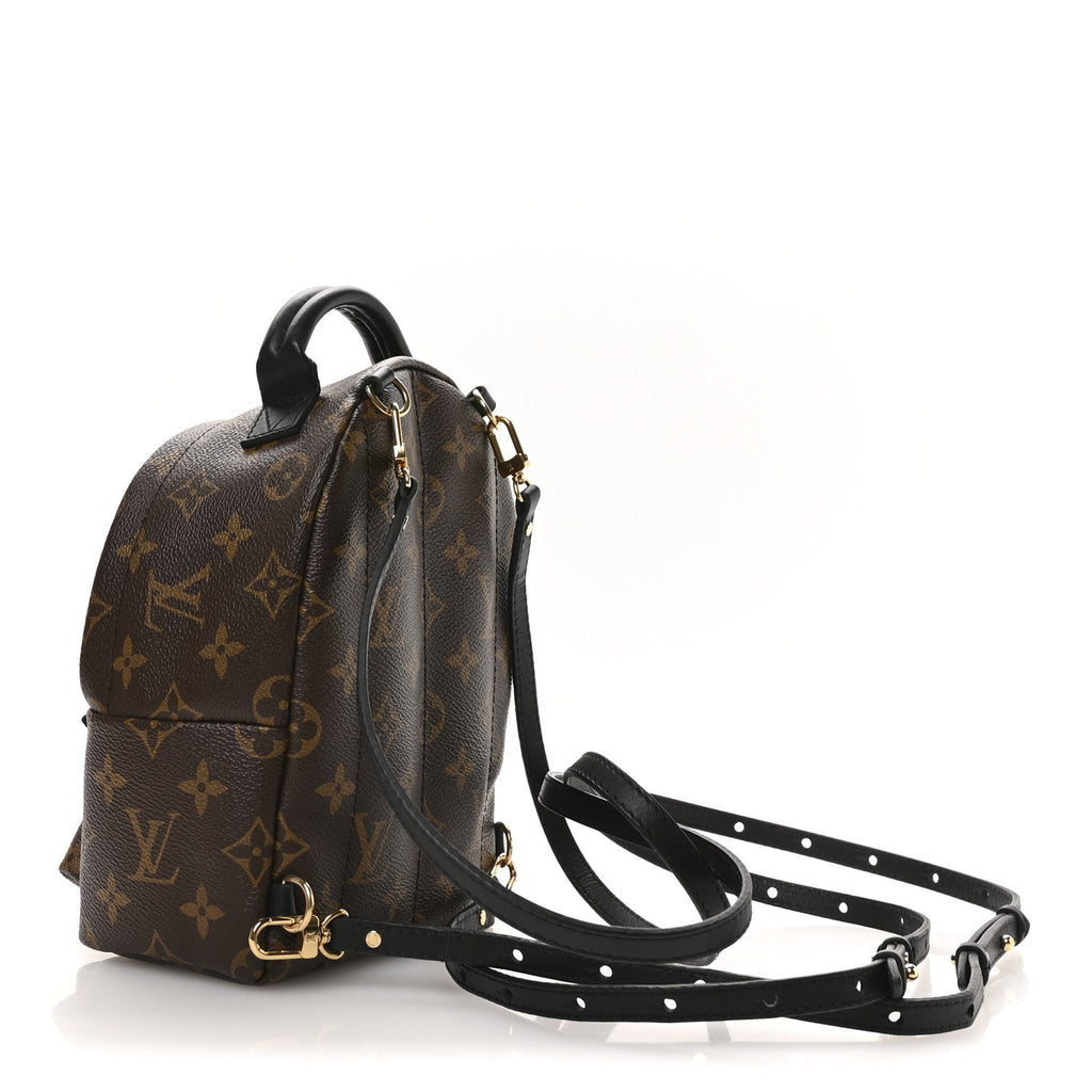 Monogram Palm Springs Backpack Mini