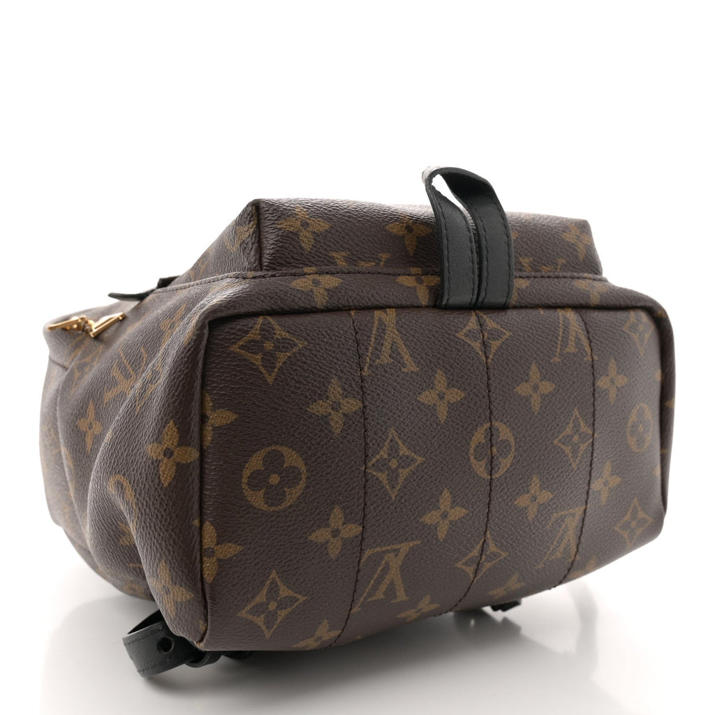 Monogram Palm Springs Backpack PM