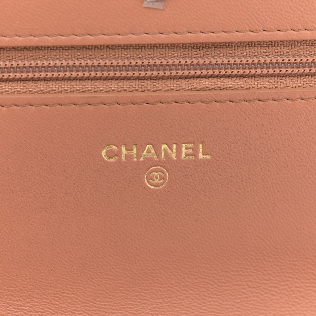 Lambskin Quilted Chanel 19 Wallet On Chain WOC Brown