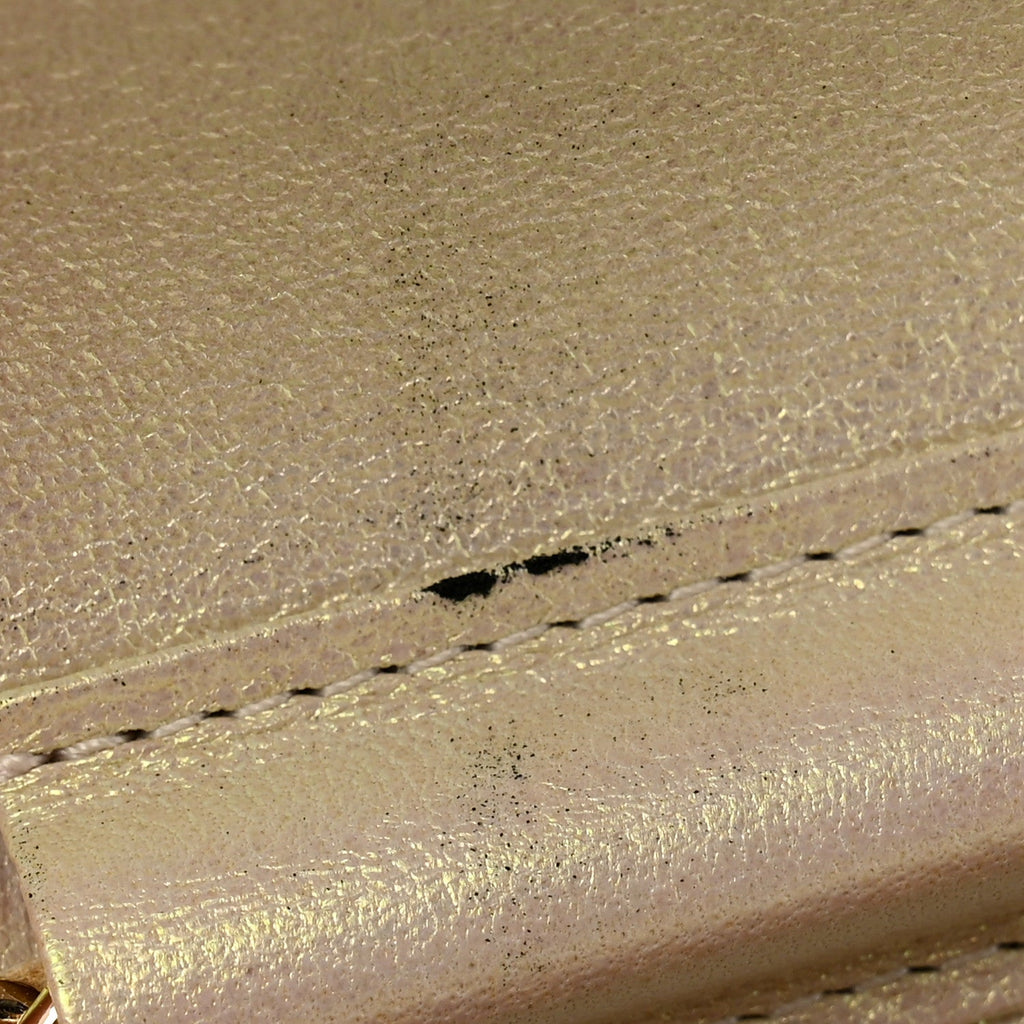 Iridescent Lambskin Quilted Wallet On Chain WOC Ivory