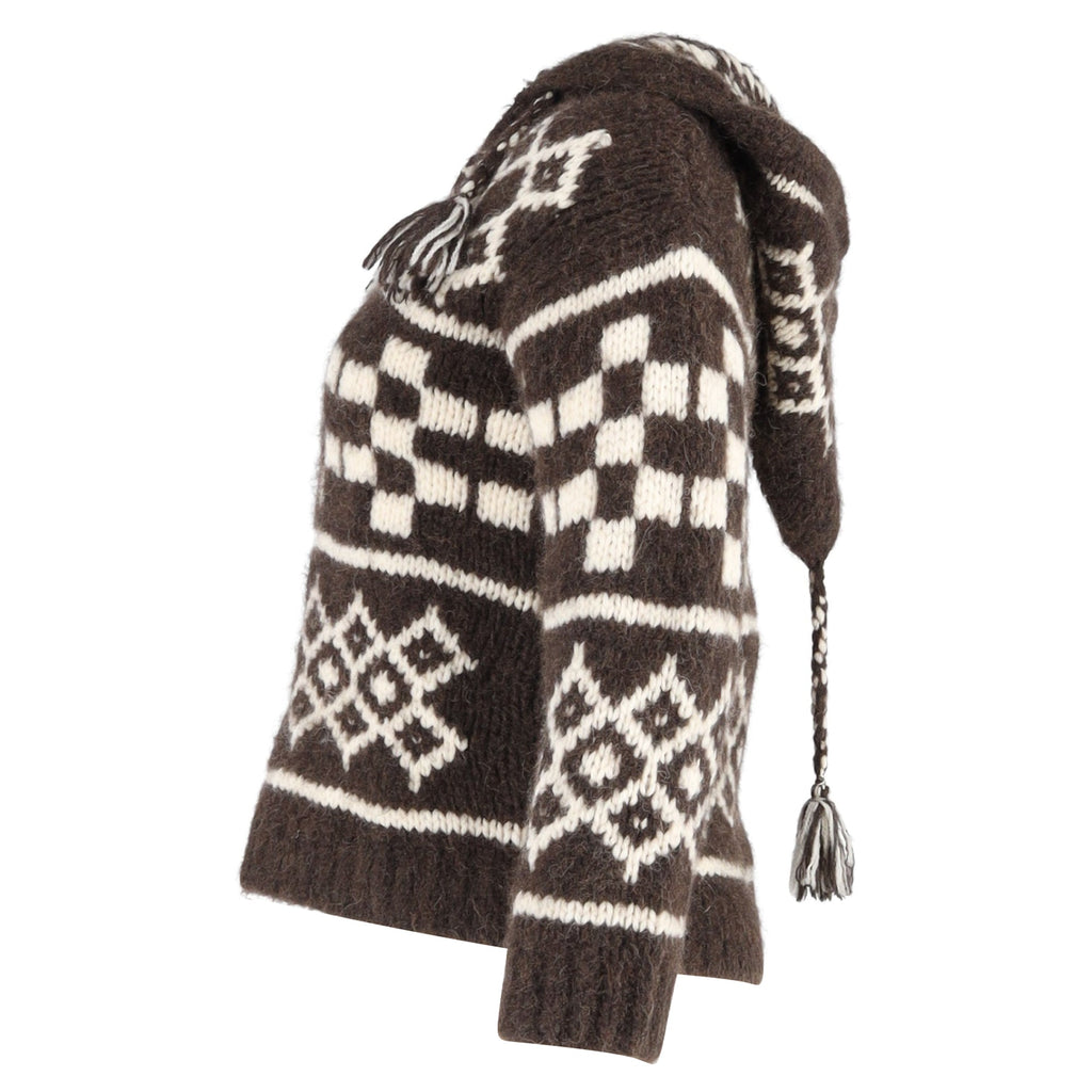 Celine Printed Hooded Sweater in Brown Wool