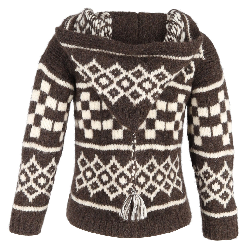 Celine Printed Hooded Sweater in Brown Wool