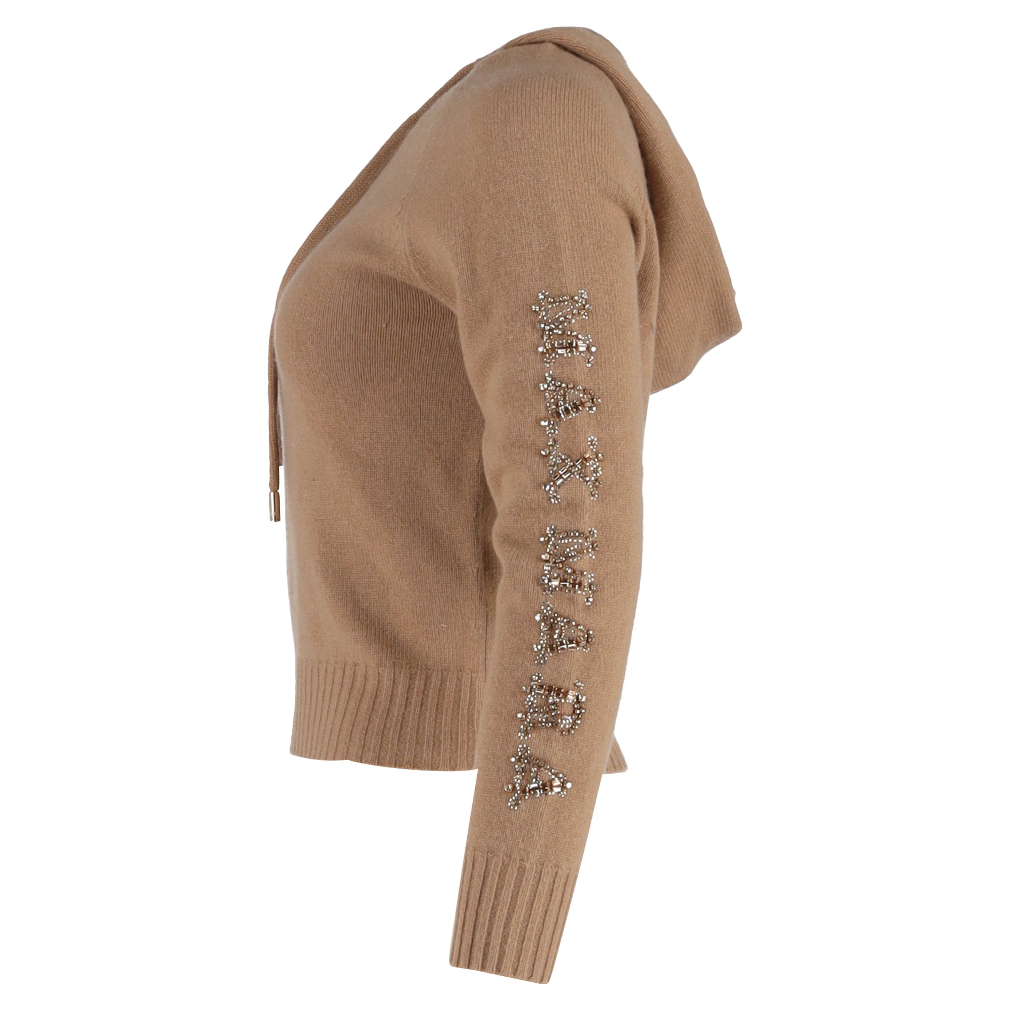 Max Mara Ananas Knit Embellished Hoodie in Brown Wool