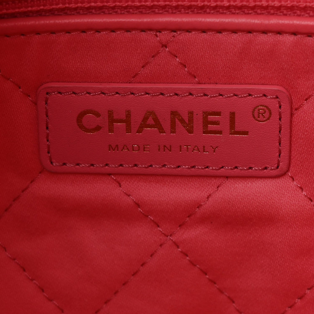 Shiny Calfskin Quilted Small Chanel 22 Coral Pink