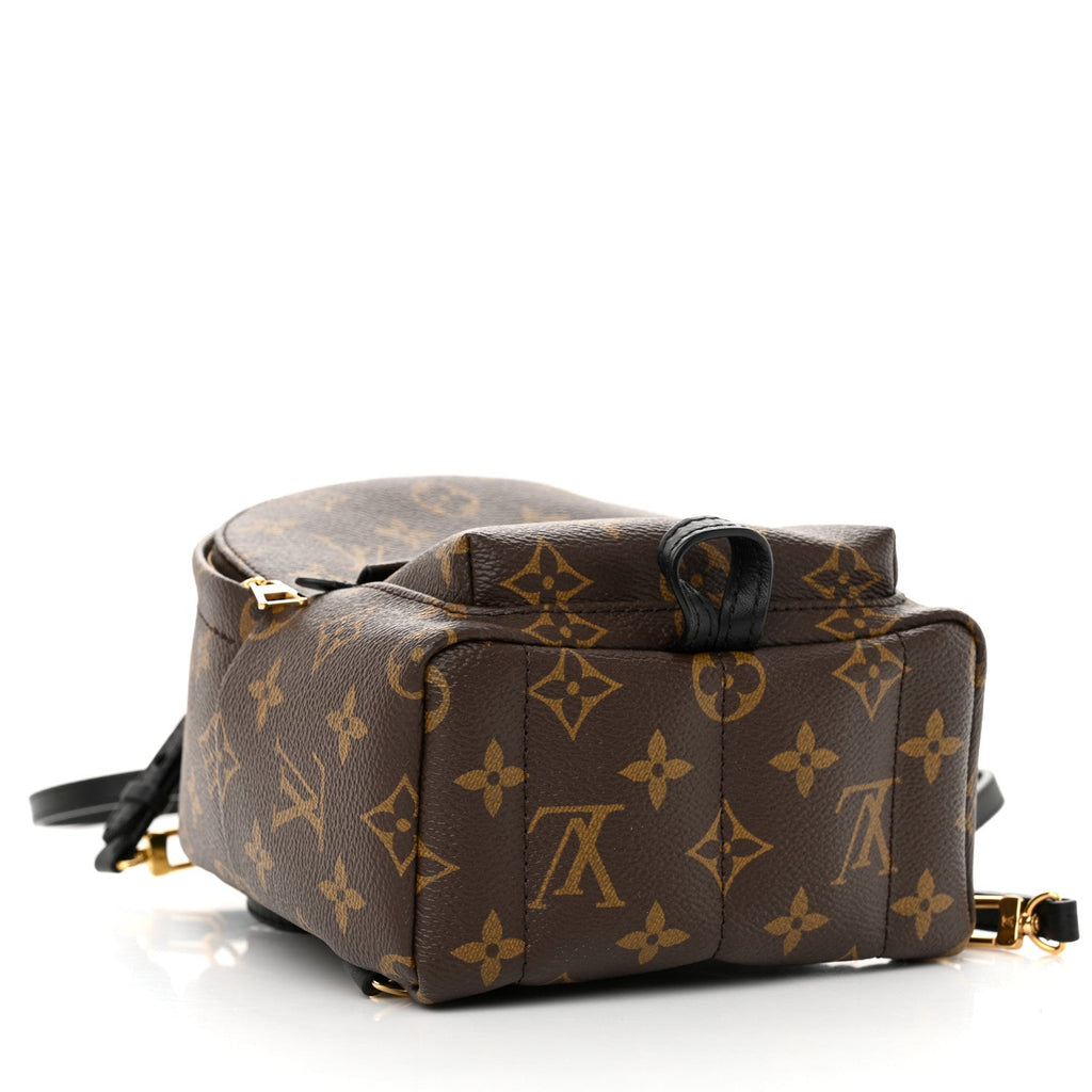 Monogram Palm Springs Backpack Mini
