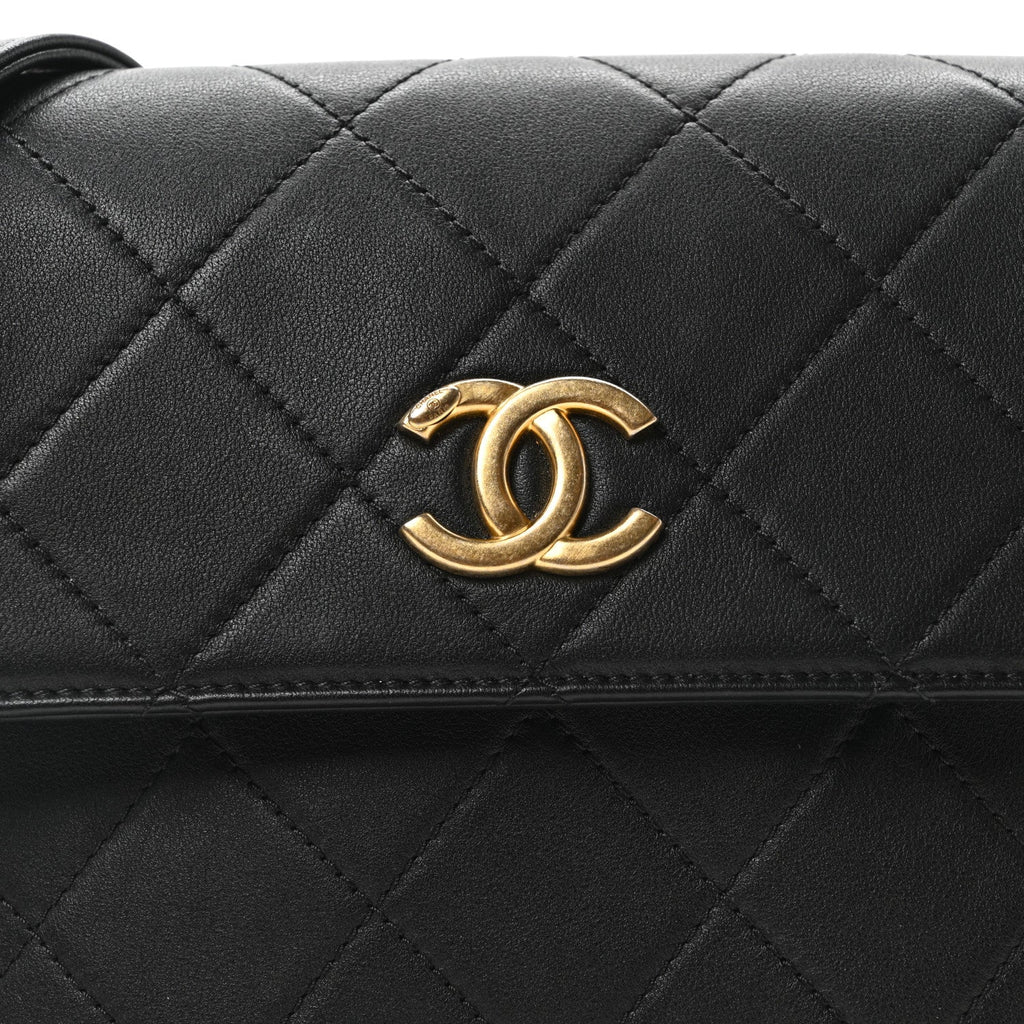 Calfskin Quilted Pearl Small About Pearls Hobo Bag Black