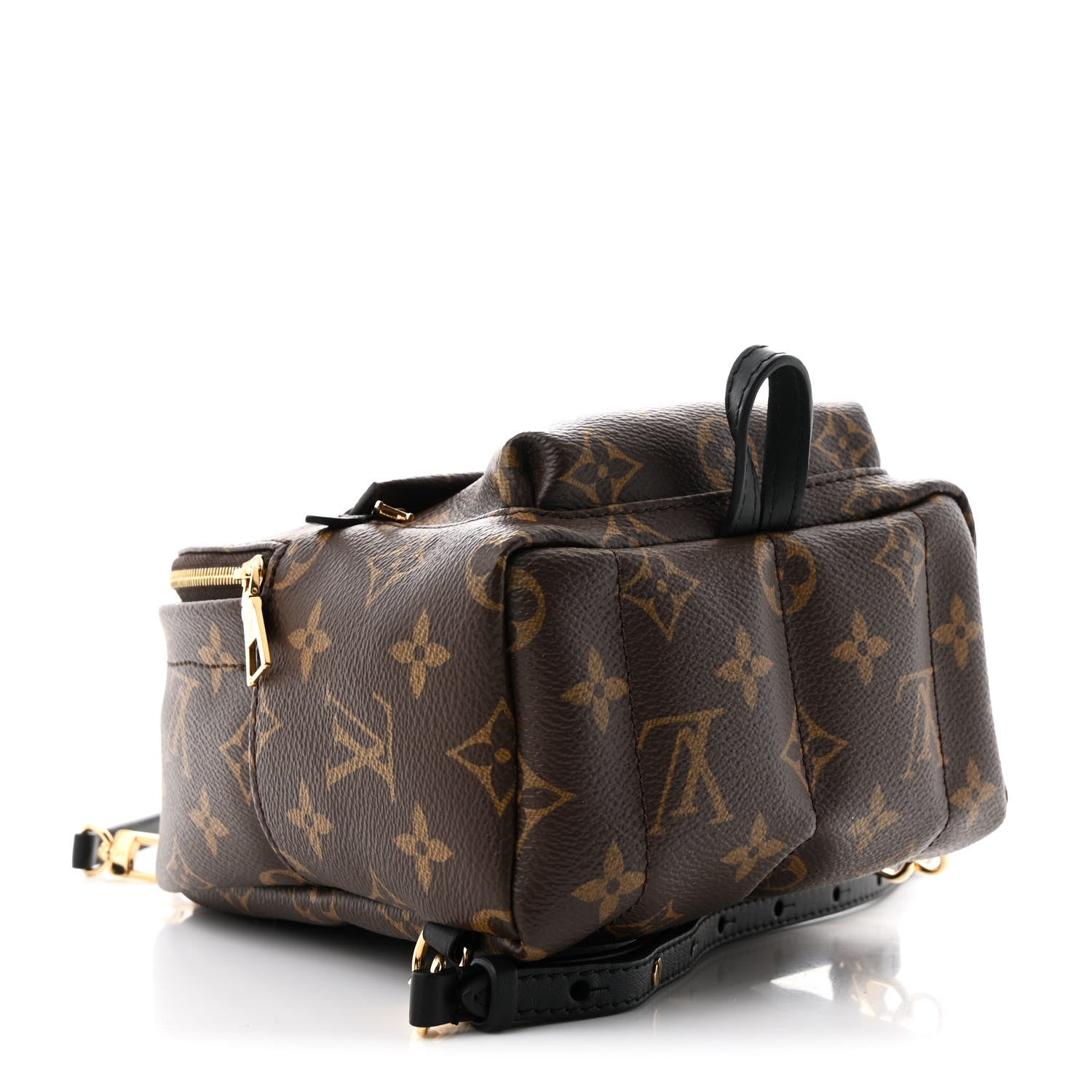 Monogram Palm Springs Backpack Mini