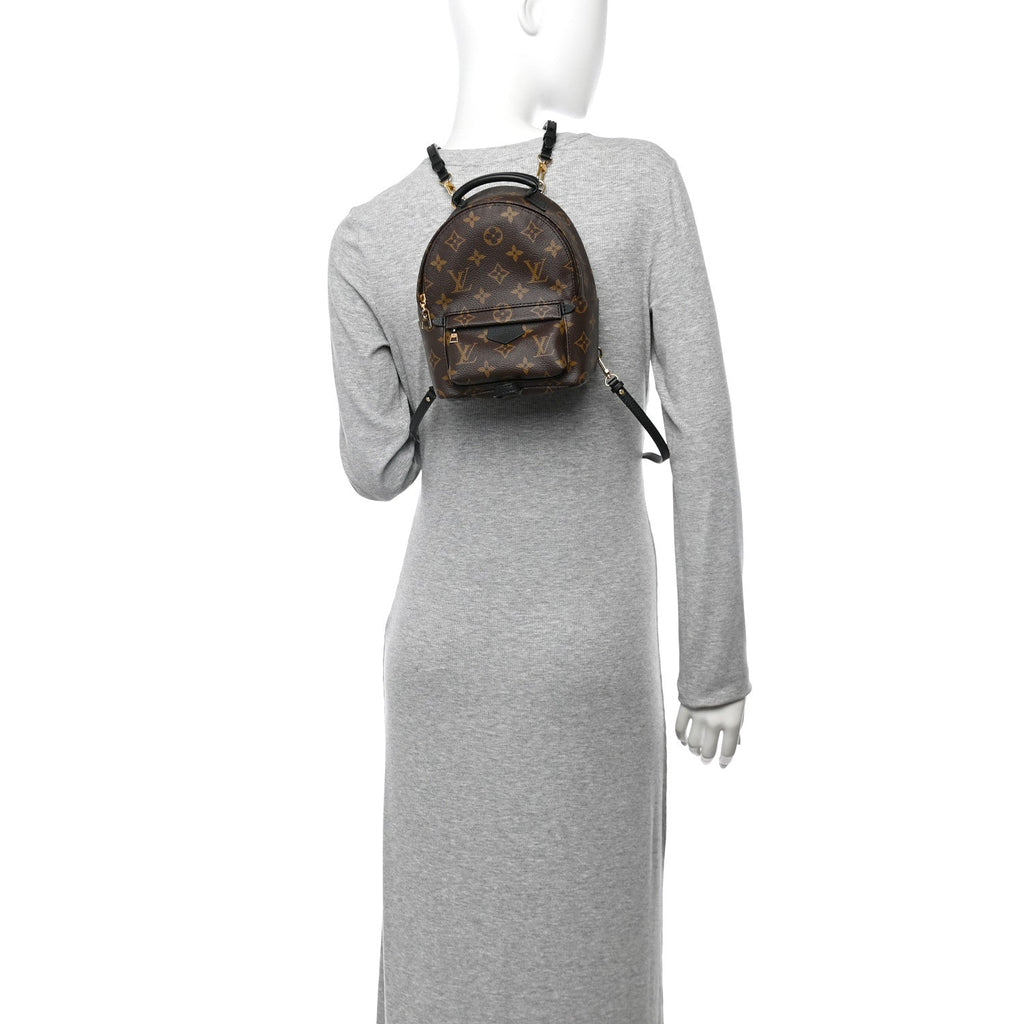 Monogram Palm Springs Backpack Mini