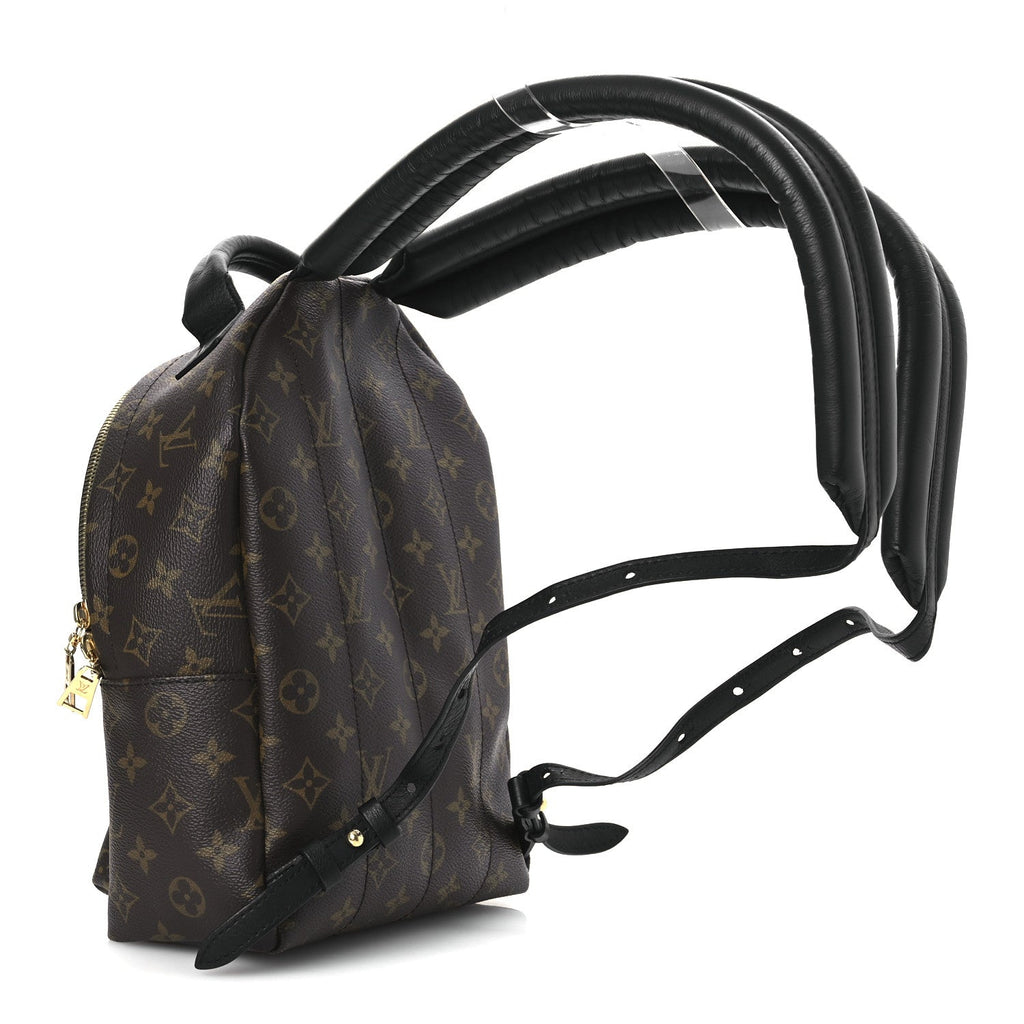 Monogram Palm Springs Backpack PM