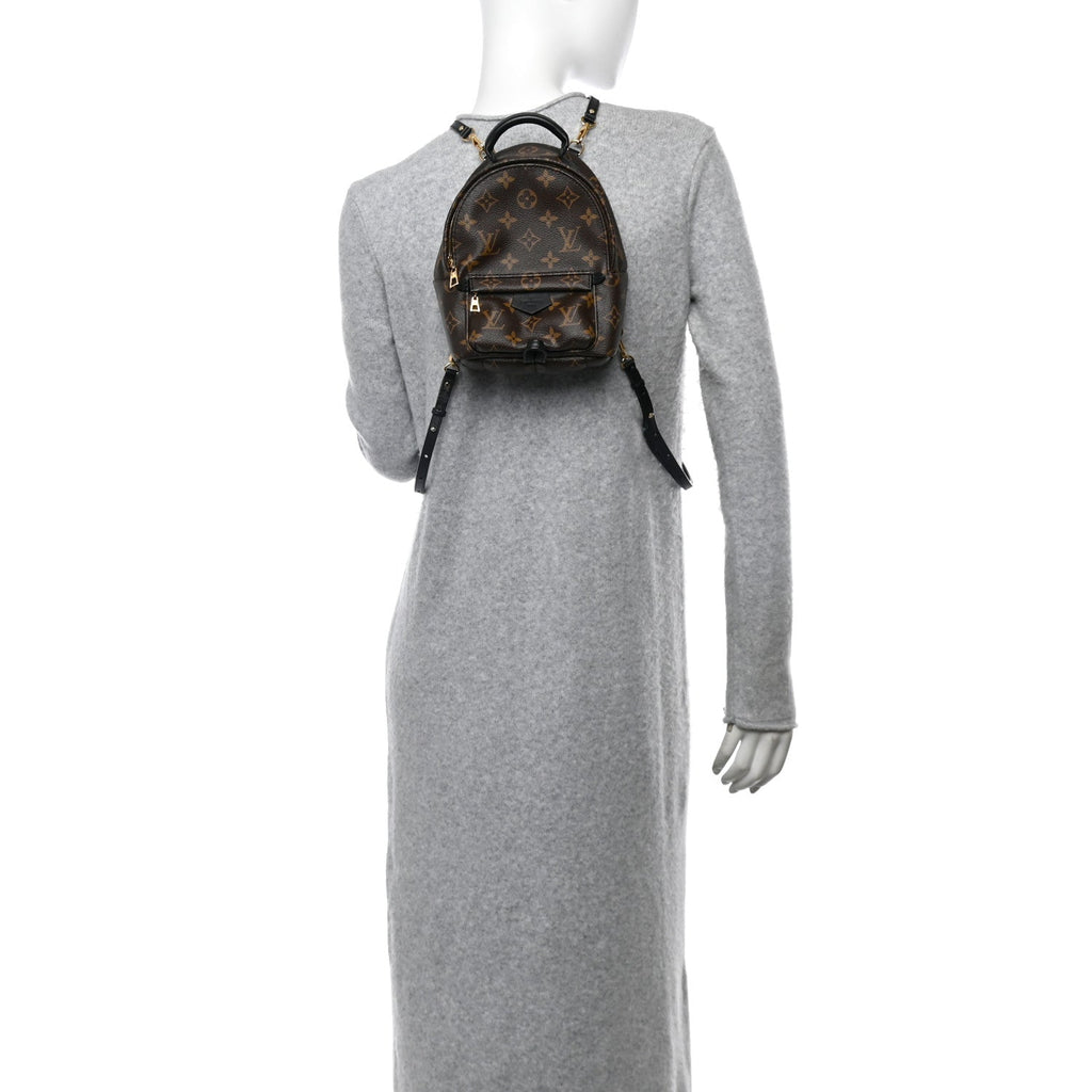 Monogram Palm Springs Backpack Mini
