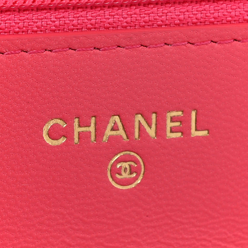 Lambskin Quilted Chanel 19 Wallet On Chain WOC Dark Pink