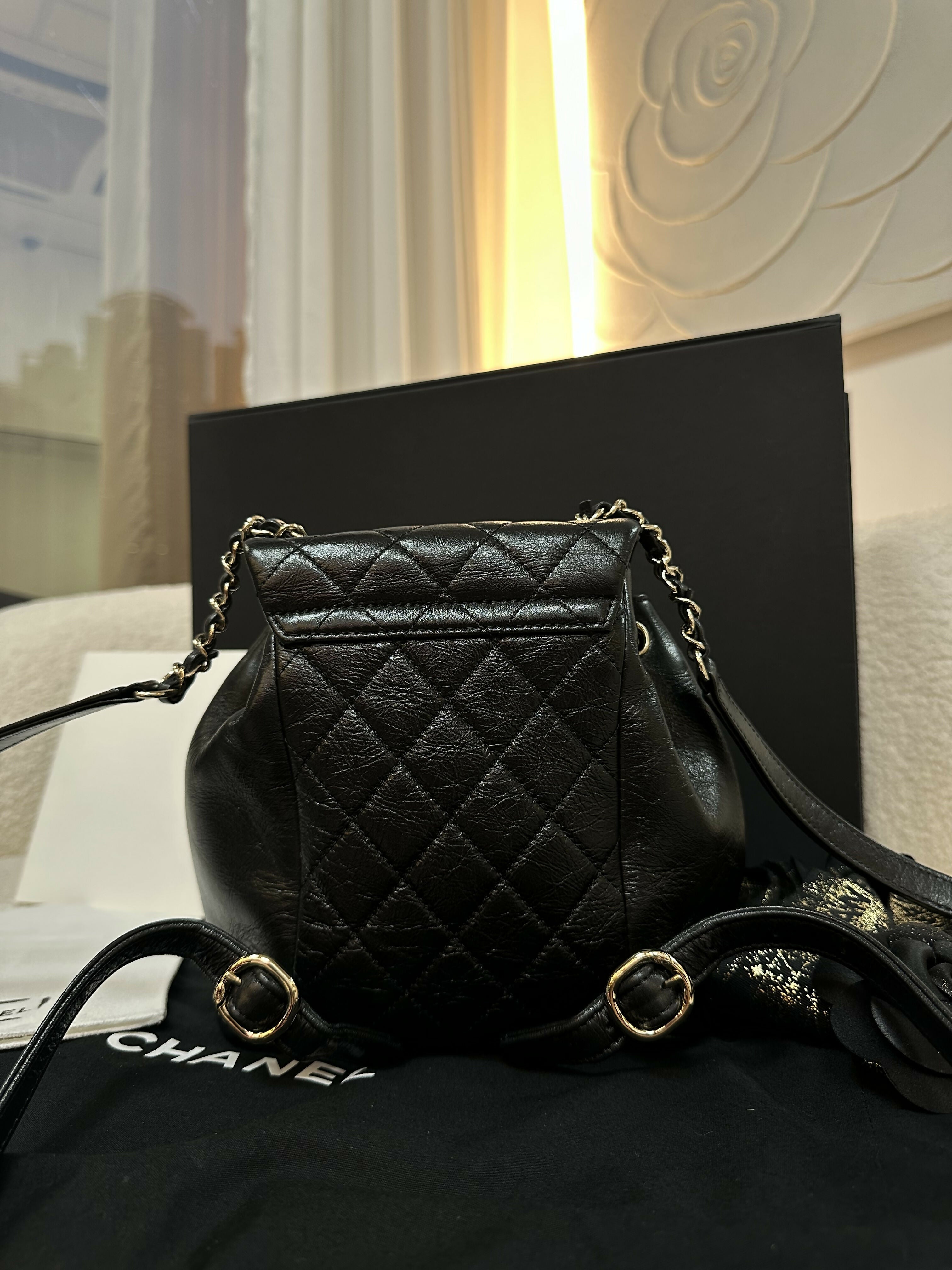 Chanel 22c Shiny Calfskin Backpack