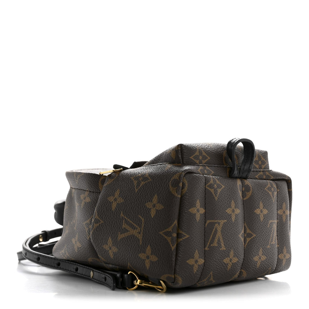 Monogram Palm Springs Backpack Mini