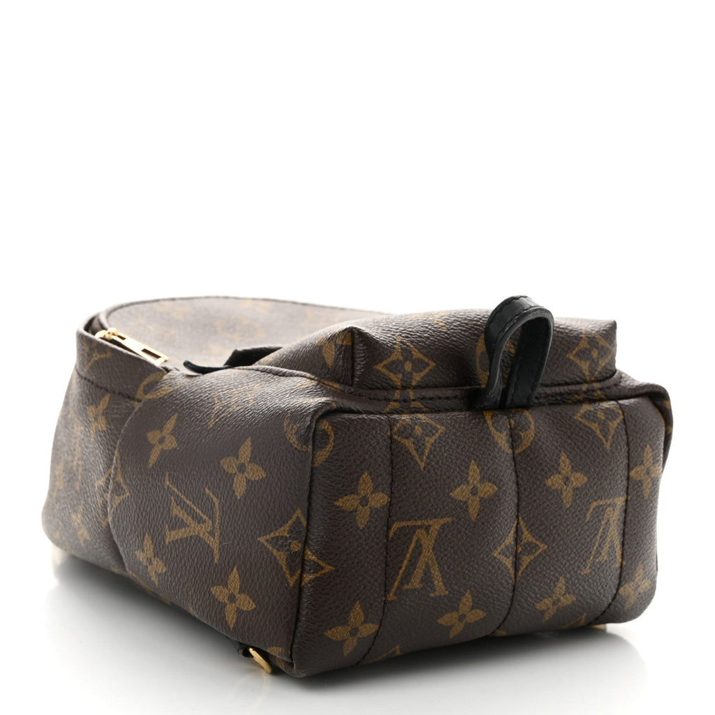 Monogram Palm Springs Backpack Mini