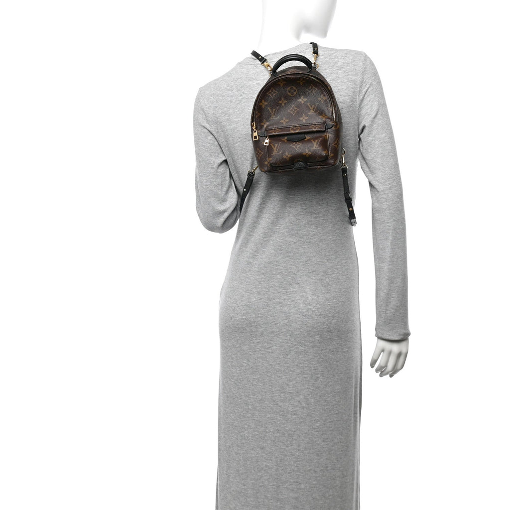 Monogram Palm Springs Backpack Mini