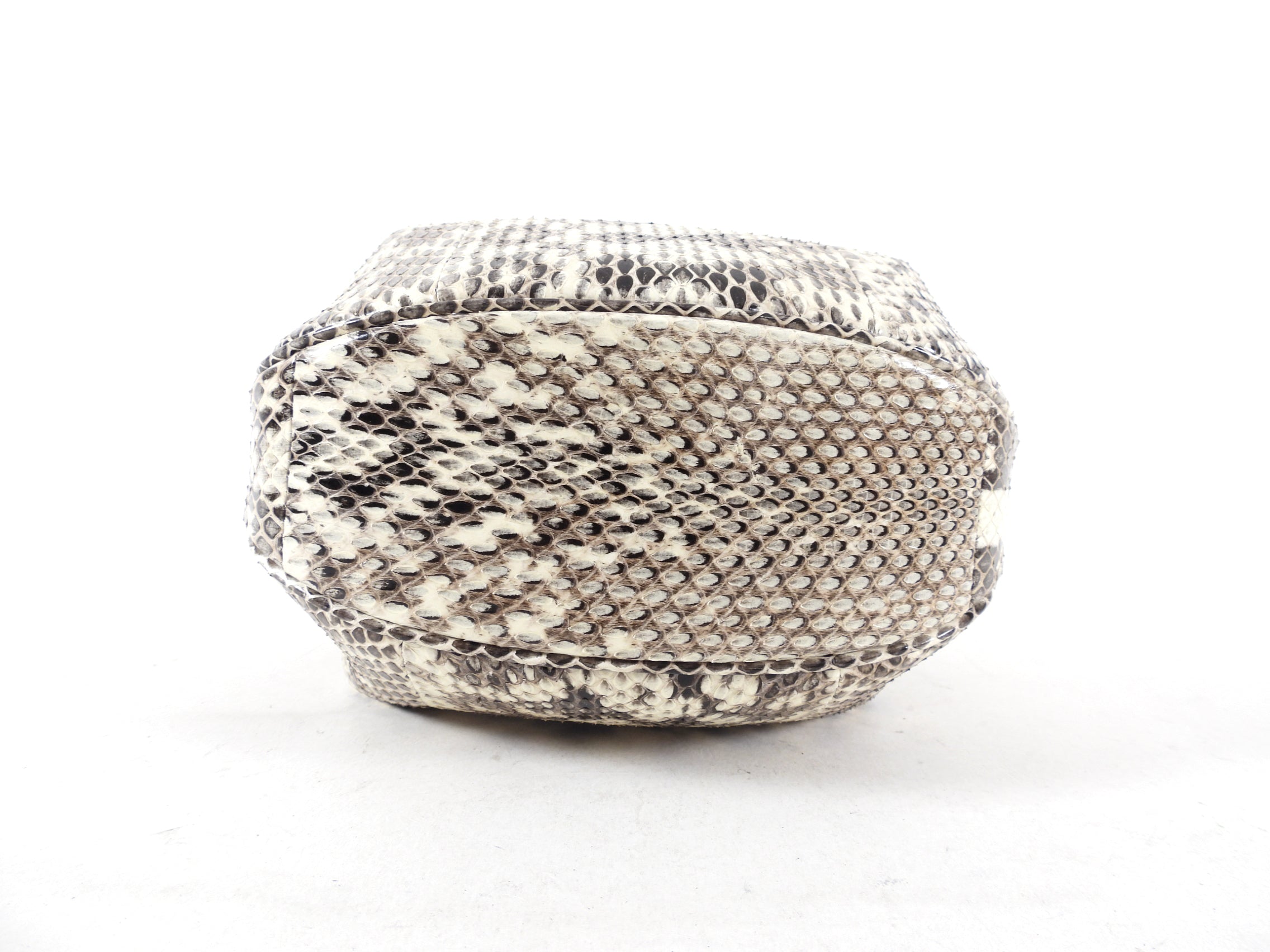 Gabriela Hearst Small Python Demi Bag