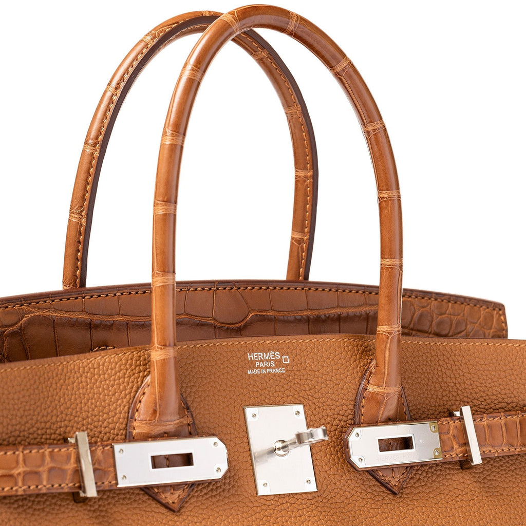 Hermès Birkin 30 Togo and Matte Alligator Touch Gold Palladium Hardware
