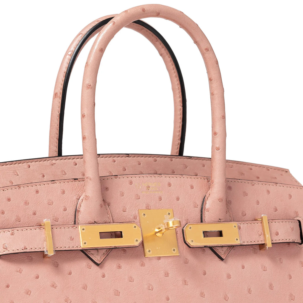 Hermès Special Order HSS Horseshoe Birkin 30 Terre Cuite/Gris Ostrich Brushed Gold Hardware