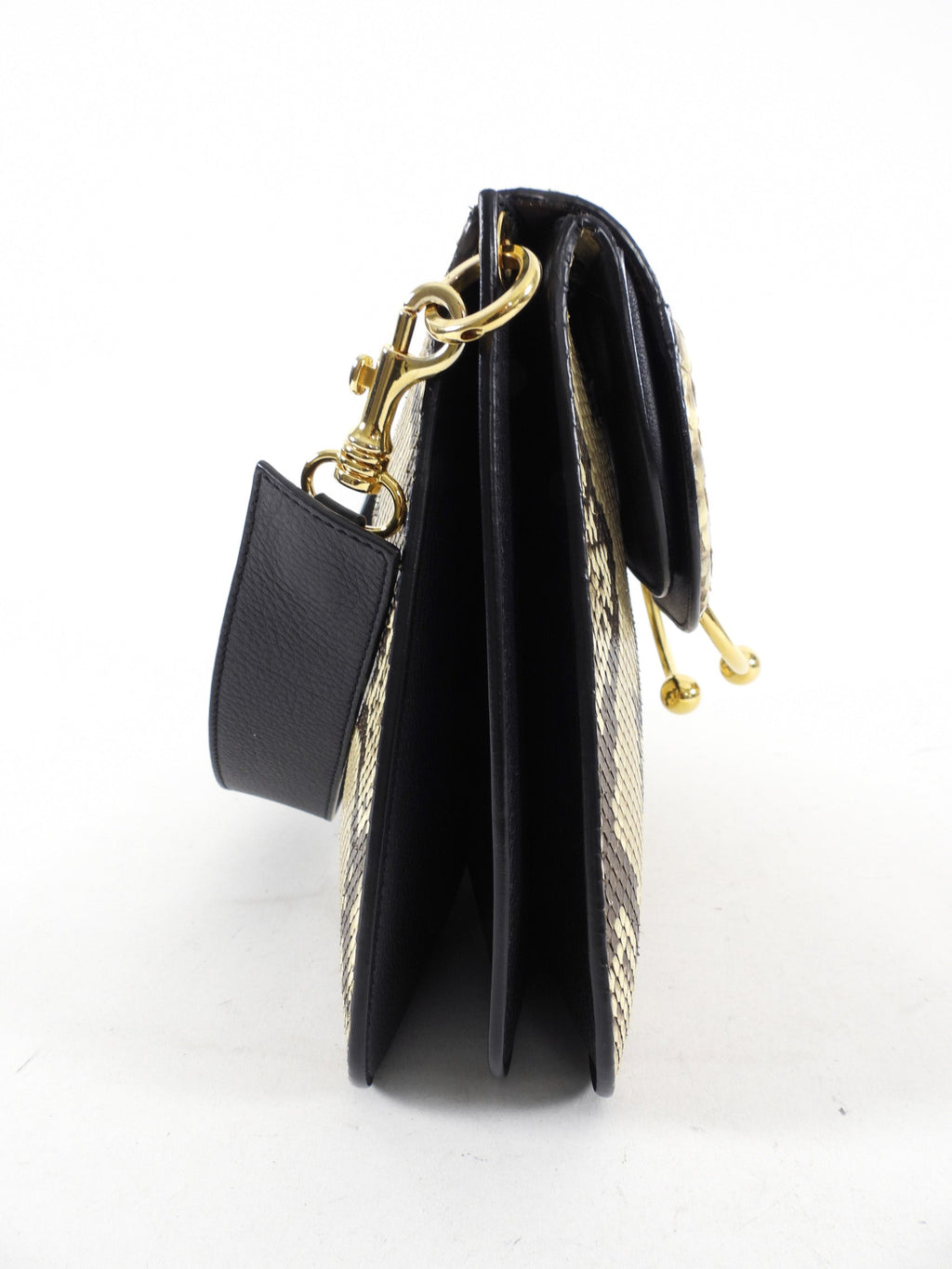 JW Anderson Python Snakeskin Pierce Bag