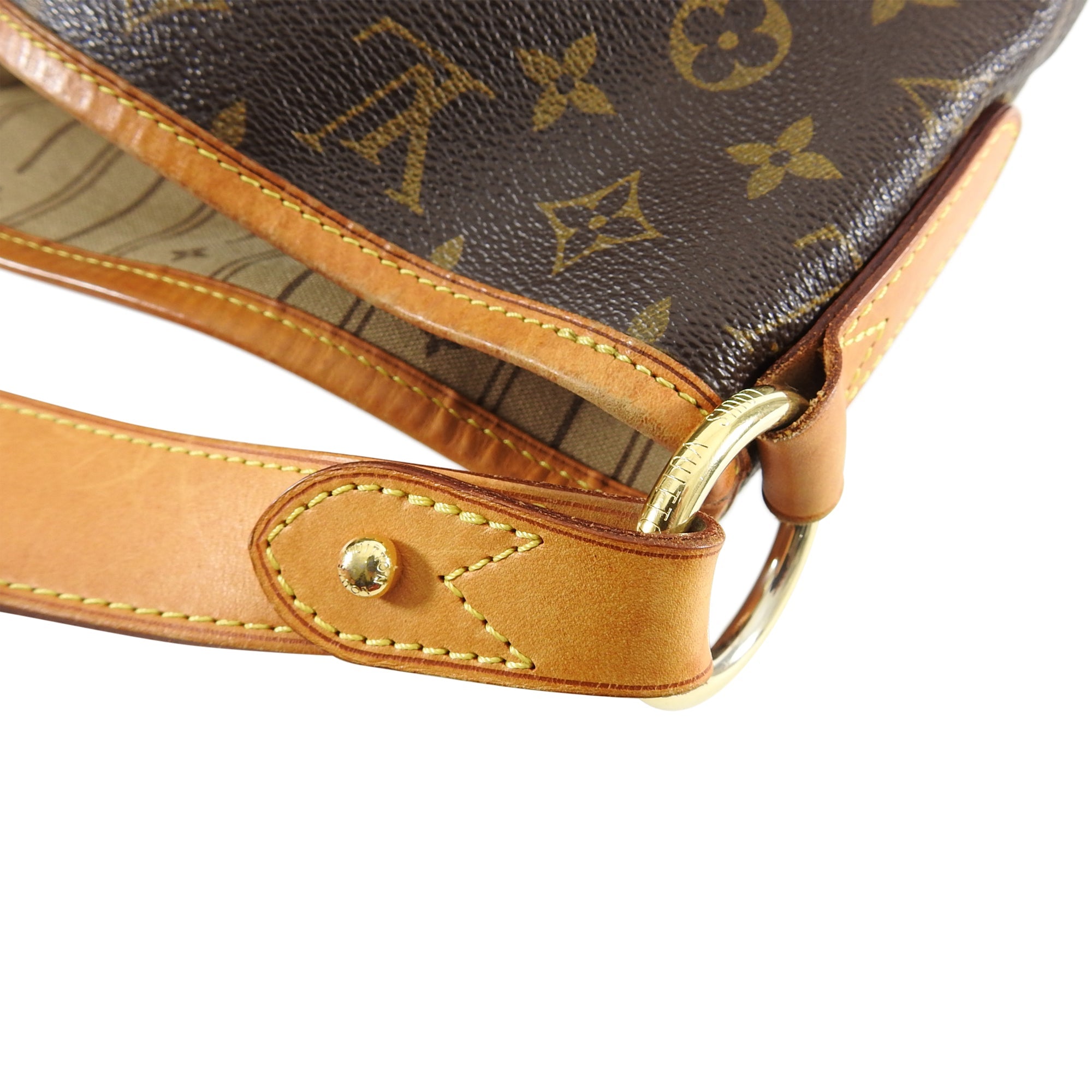Louis Vuitton Monogram Canvas Delightful GM Bag