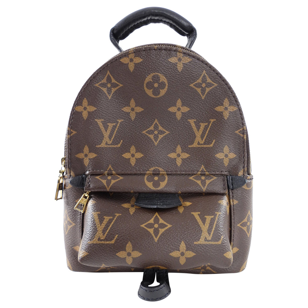 Louis Vuitton Monogram Canvas Palm Springs Mini Backpack