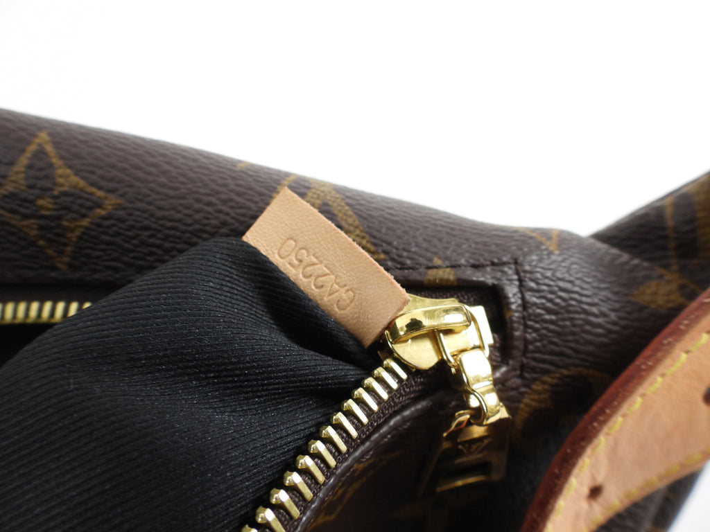 Louis Vuitton Monogram Canvas Bum Bag Waist Bag