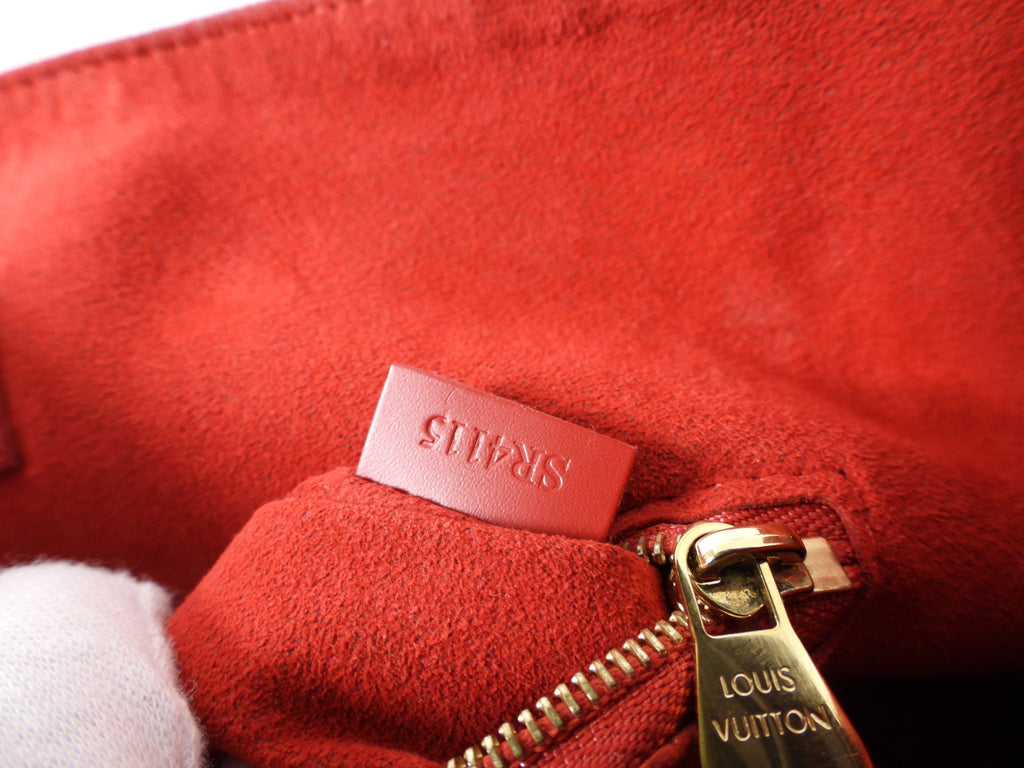 Louis Vuitton Damier Ebene Caissa Hobo Bag