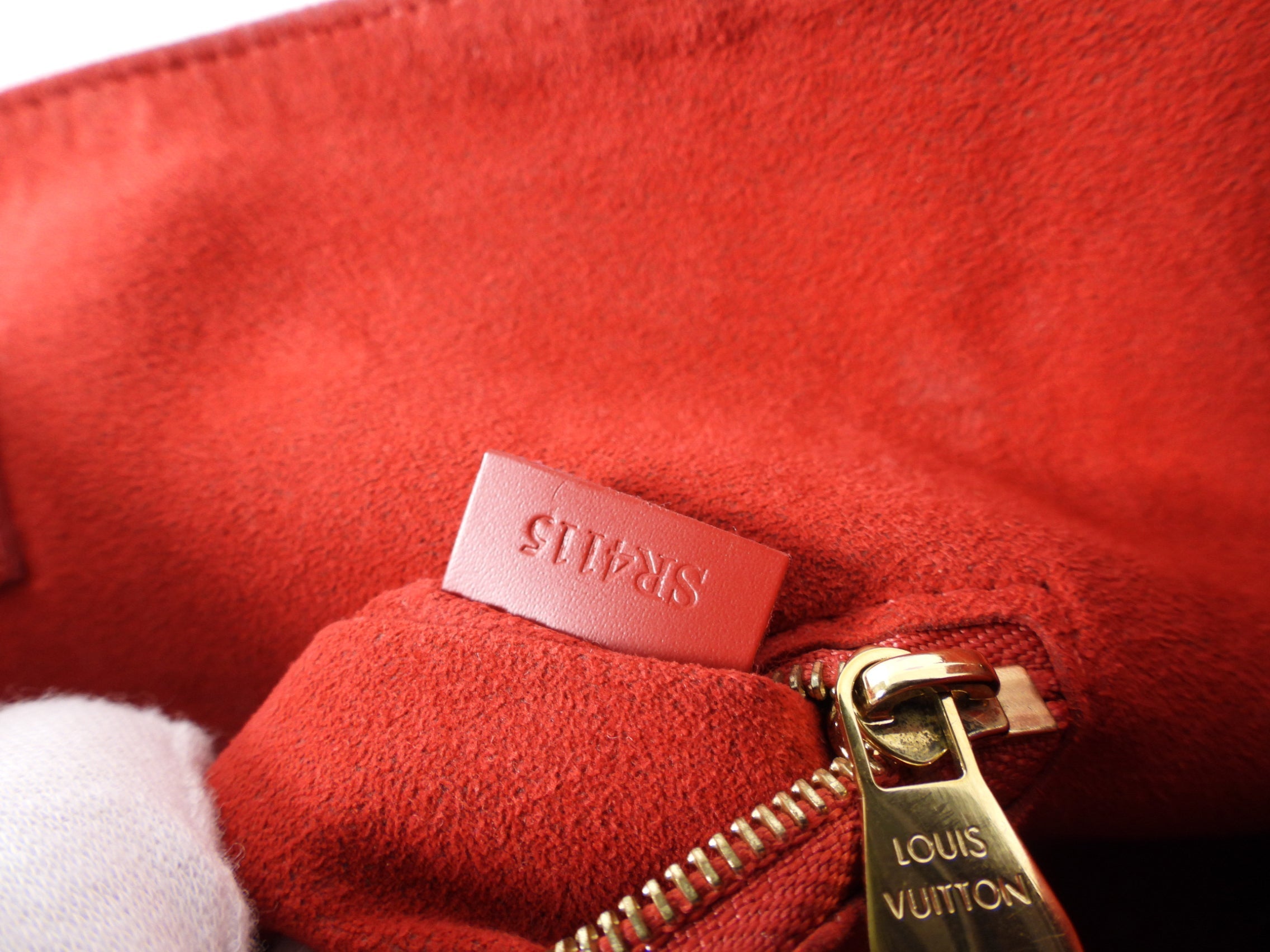 Louis Vuitton Damier Ebene Caissa Hobo Bag