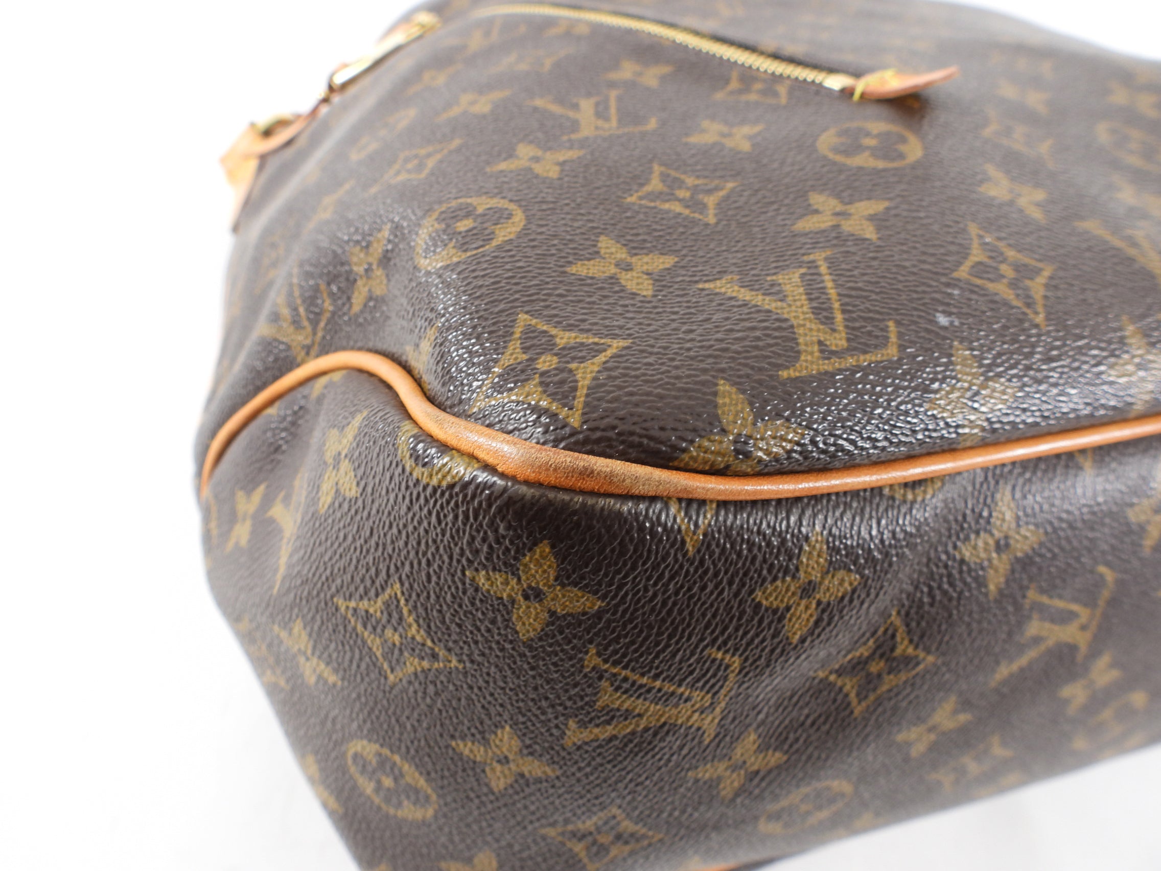 Louis Vuitton Monogram Canvas Delightful Bag