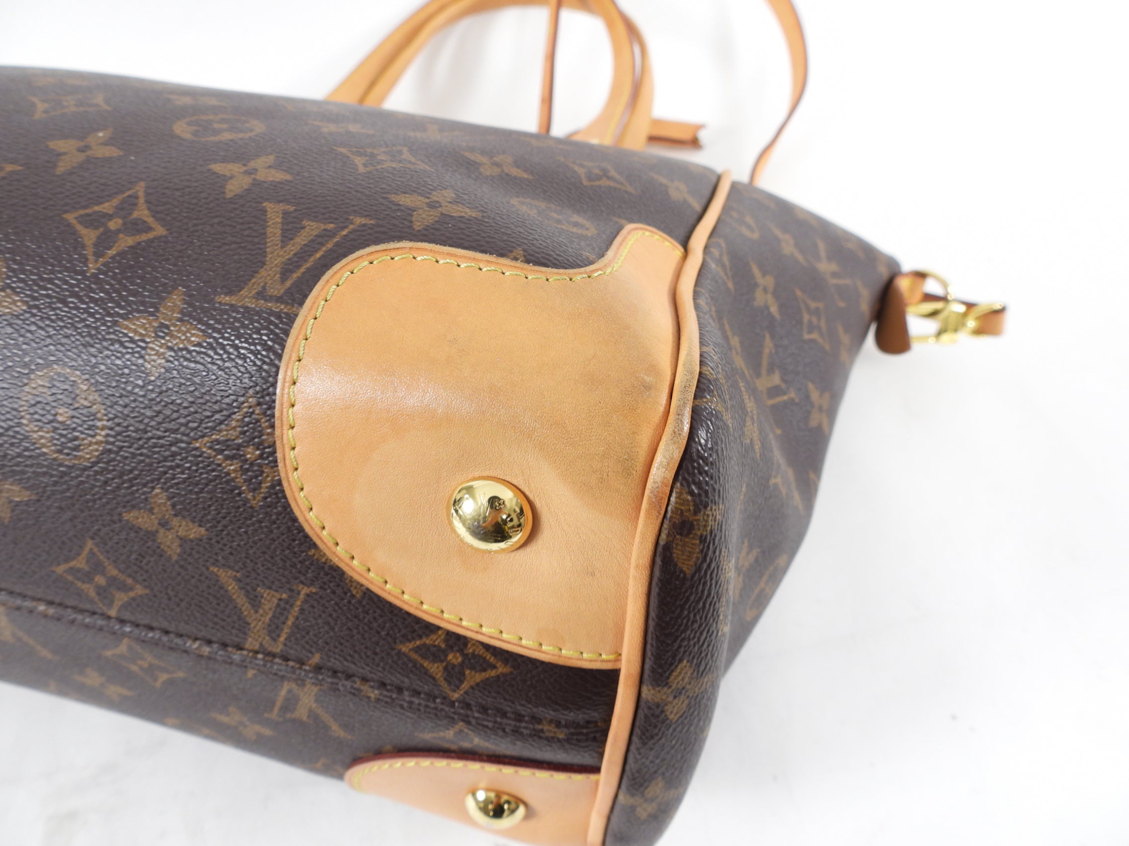 Louis Vuitton Monogram Estrela NM Vachetta Leather Two-Way Bag
