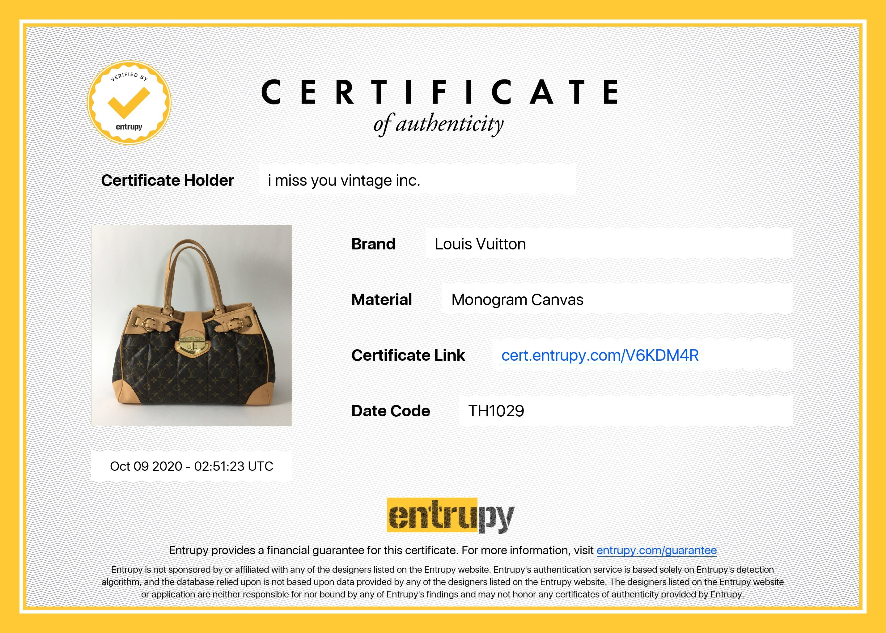 Louis Vuitton Monogram Quilted Etoile Shopper Bag