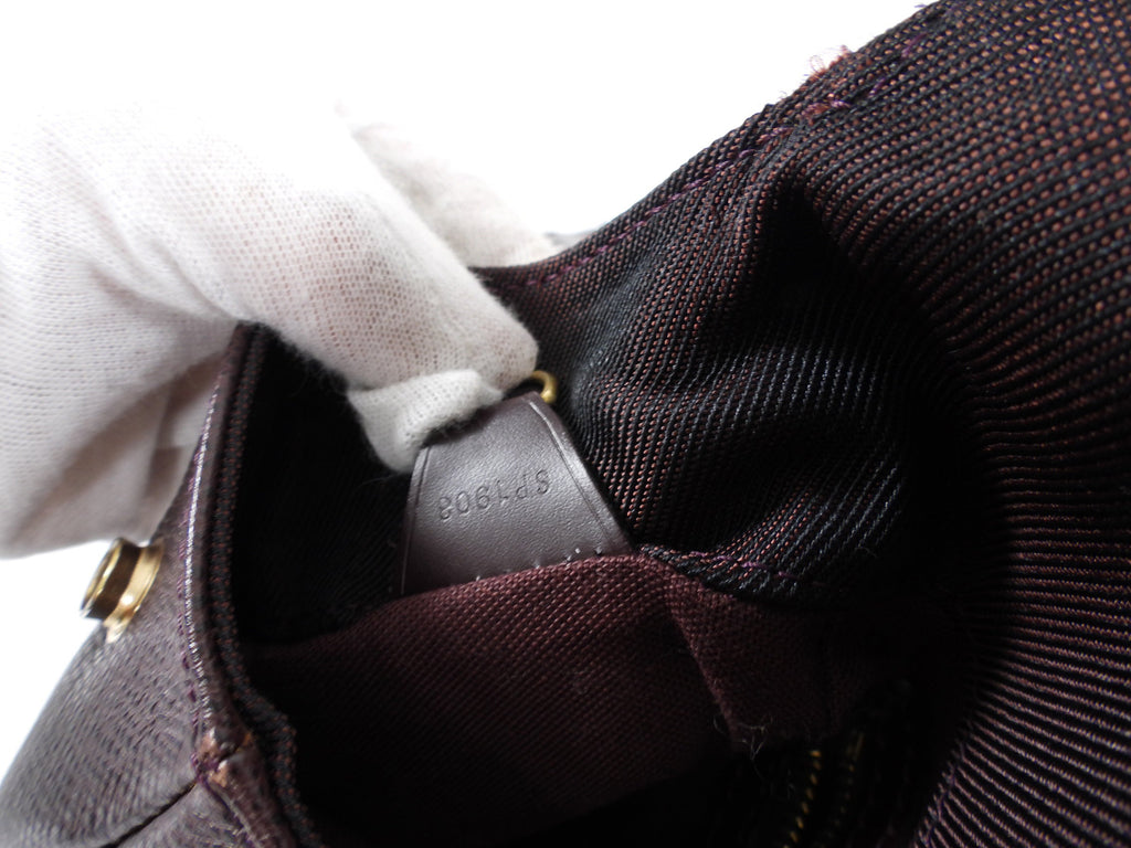 Louis Vuitton Bordeaux Taiga Leather Cassiar Backpack Bag