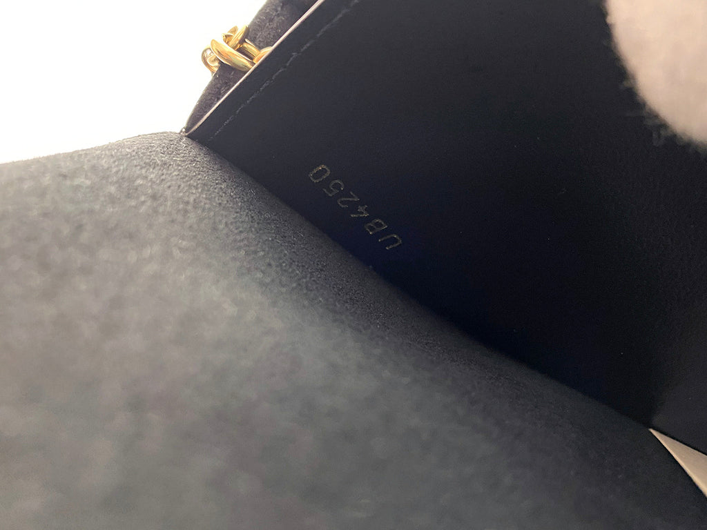 Louis Vuitton Damier Ebene and Noir Vavin Chain Wallet