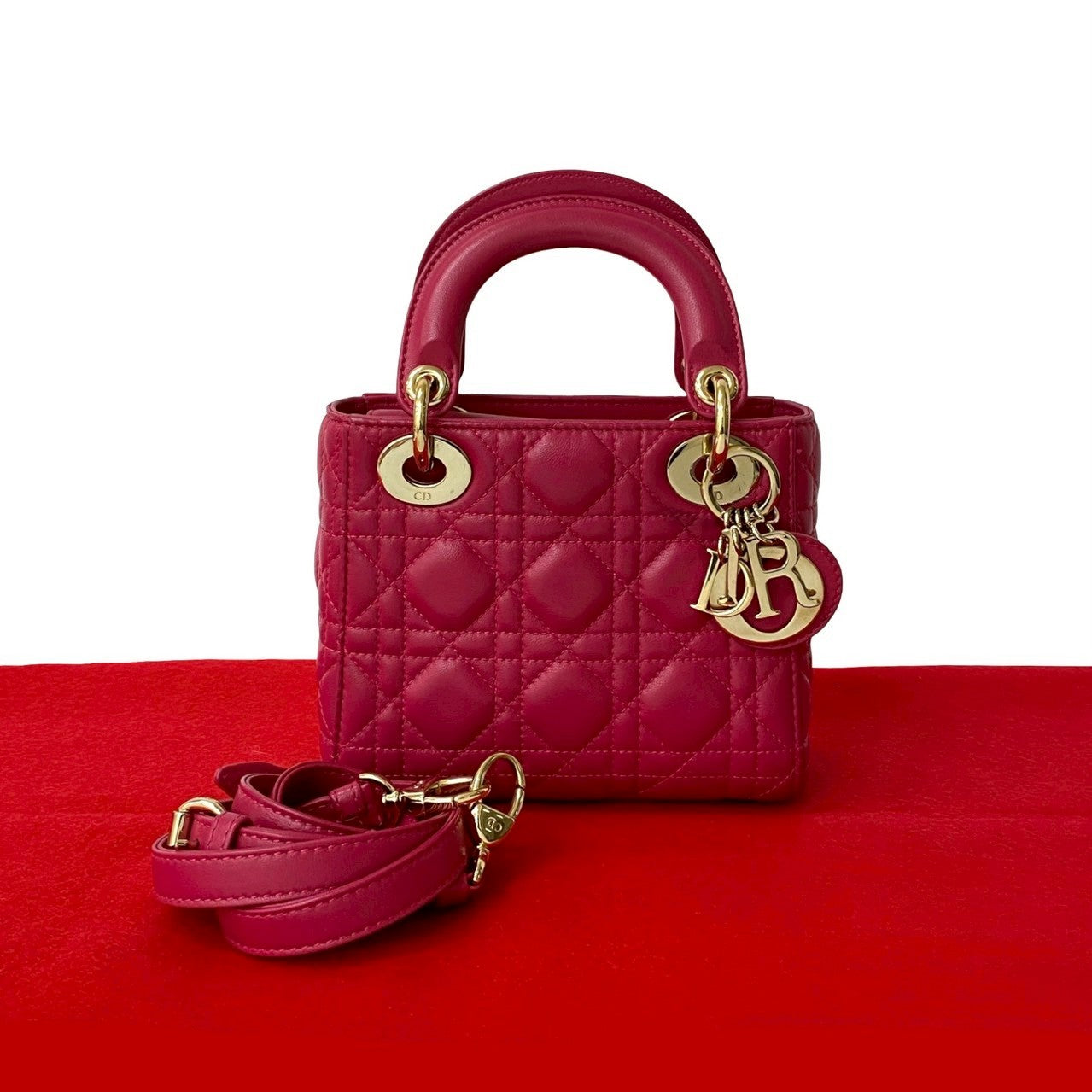 Christian Dior Lady Dior Leather 2way Bag