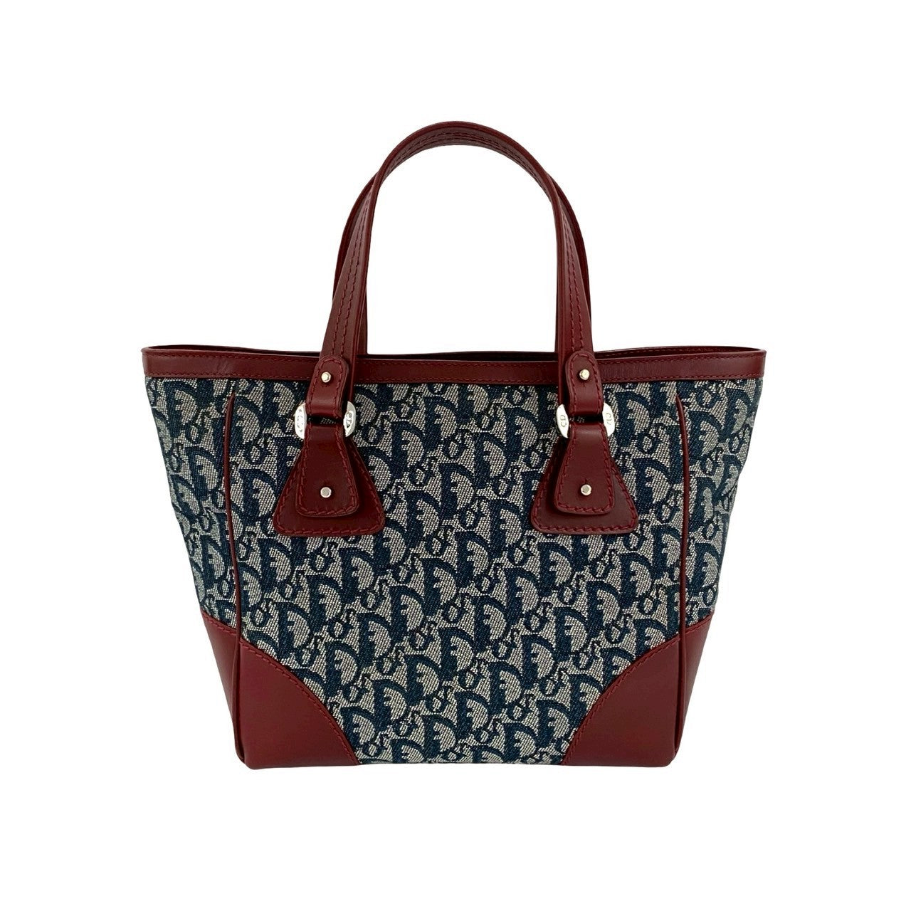 Christian Dior Trotter Canvas Leather Handbag