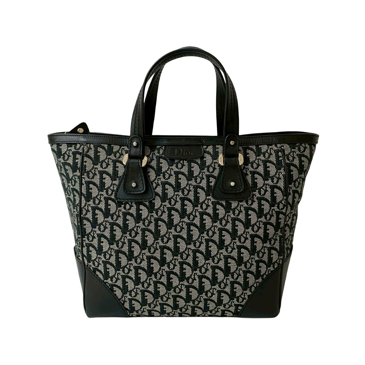 Christian Dior Trotter Canvas Leather Handbag