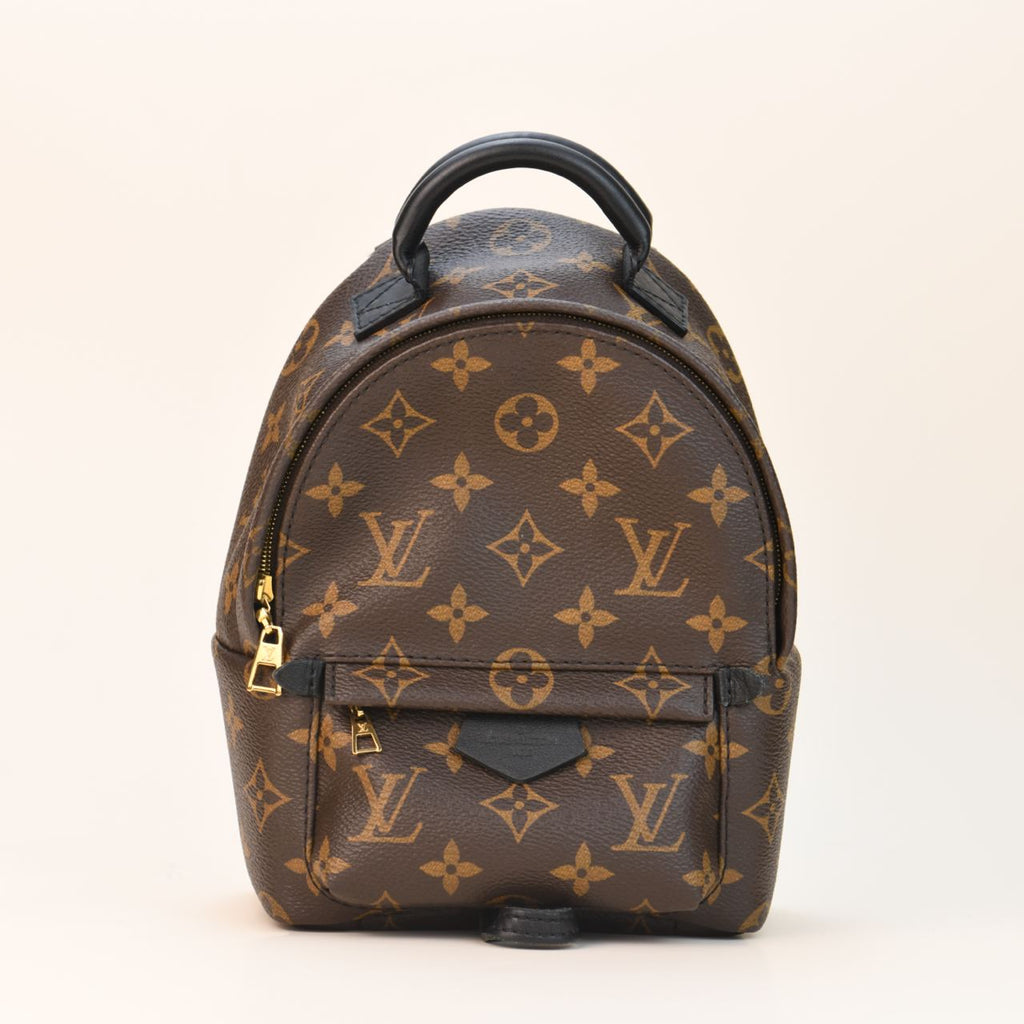 Louis Vuitton Palm Springs Mini Backpack