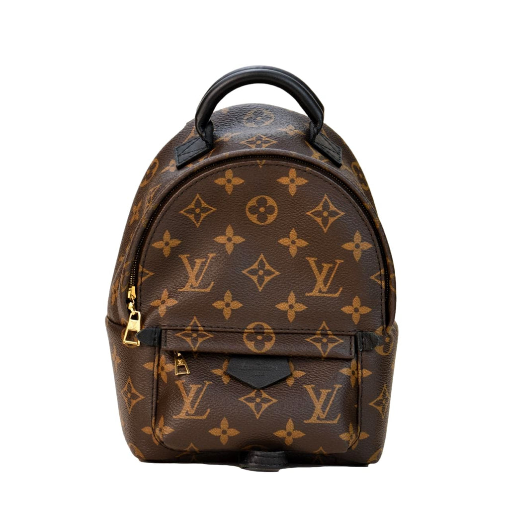 Louis Vuitton Palm Springs Mini Backpack