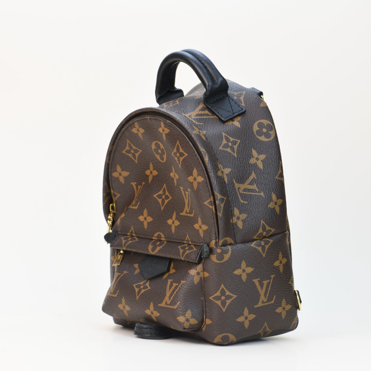 Louis Vuitton Palm Springs Mini Backpack