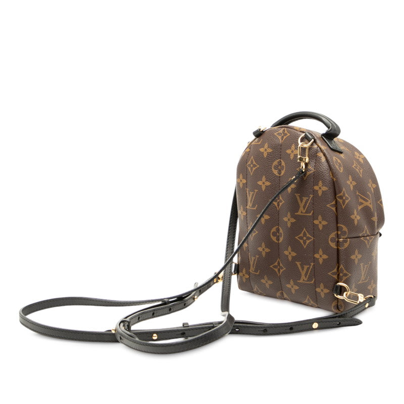 Louis Vuitton Palm Springs Mini Monogram Backpack