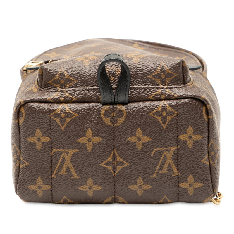 Louis Vuitton Palm Springs Mini Monogram Backpack